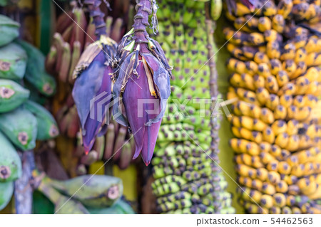 Many kind of bananas are nicely set and displayed Many kind of bananas are nicely set and displayed 54462563