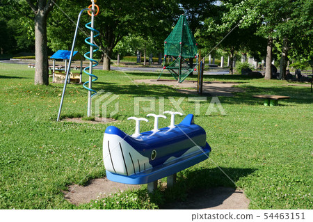 Landscape photo Gosho Lake Amusement Park Aoi playground equipment Summer Amusement Park 54463151