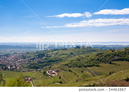 Valpolicella hills landscape, Italian viticulture 54463867