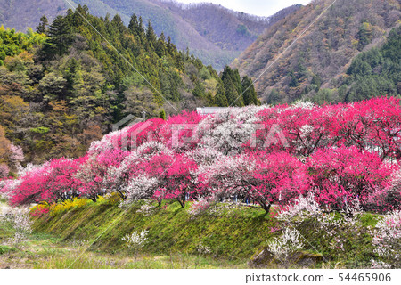 Hanamo no Sato Hanamo no Sato 54465906