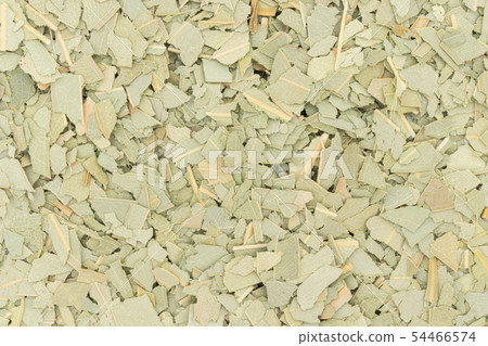 桉樹花草茶，桉樹葉，桉樹，桉樹：桉樹葉 54466574