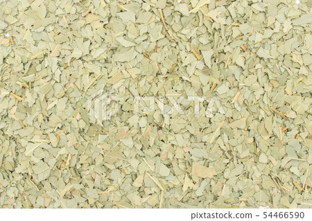 Eucalyptus herbal tea, Eucalyptus leaves, Eucalyptus, Eucalyptus: Eucalyptus leaves Eucalyptus herbal tea, Eucalyptus leaves, Eucalyptus, Eucalyptus: Eucalyptus leaves 54466590