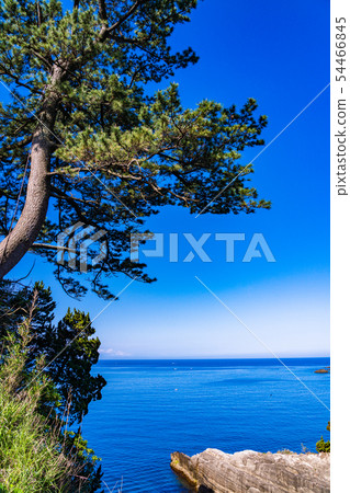 (Shizuoka Prefecture) Nishiizucho-Dogashima (Shizuoka Prefecture) Nishiizucho-Dogashima 54466845
