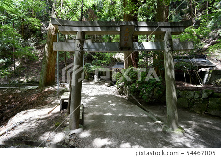 無政府狀態Teratani Bentodo Torii 無政府狀態Teratani Bentodo Torii 54467005