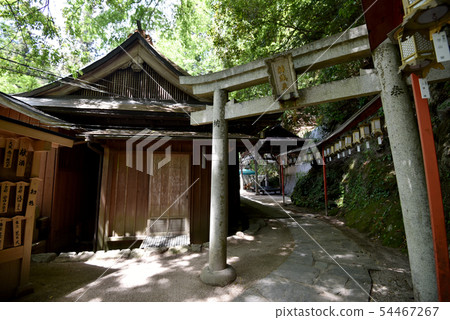 Anarchy Teratani Bentendo Anarchy Teratani Bentendo 54467267