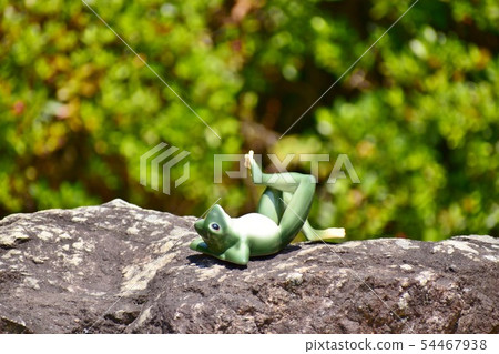 Frog ornament Frog ornament 54467938