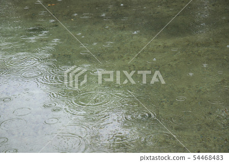 A pond with a raindrop A pond with a raindrop 54468483