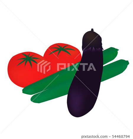 Illustration of summer vegetables 54468794