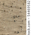 海灘 54469582