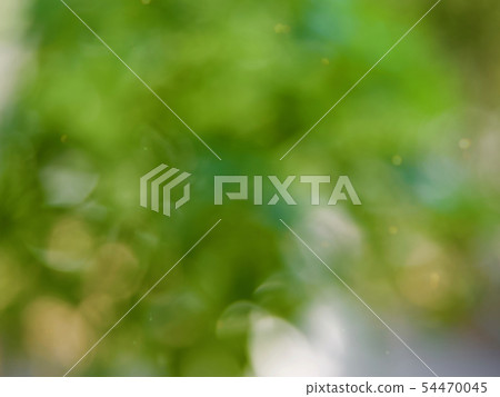 抽象森林bokeh背景，離群焦點 54470045