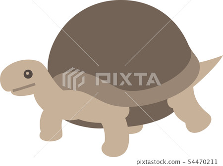 龜 54470211