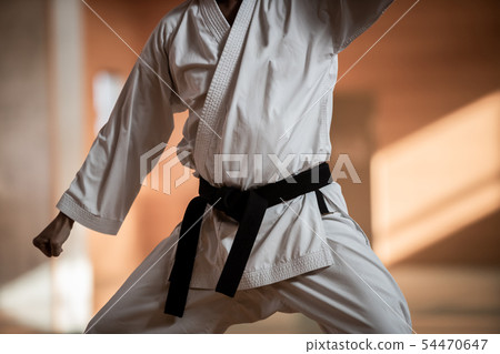 karate, empty hand, male 54470647