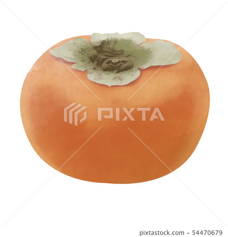 persimmon 54470679