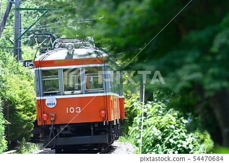 Hakone Tozan Railway No. 103 [Kanagawa Prefecture] Early Summer Forest 54470684