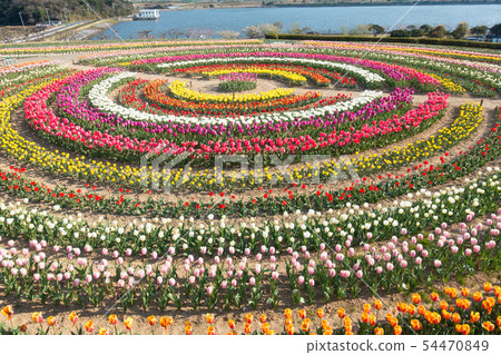 [愛知縣] Sante Garden Flower Festival Sante Park Tahara 54470849