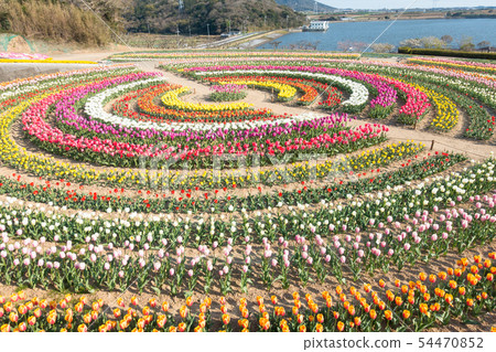 [愛知縣] Sante Garden Flower Festival Sante Park Tahara 54470852