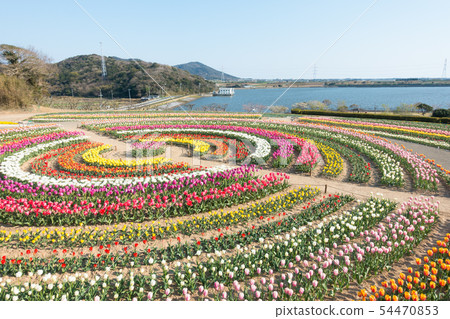 [愛知縣] Sante Garden Flower Festival Sante Park Tahara 54470853