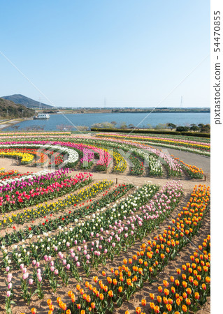 [愛知縣] Sante Garden Flower Festival Sante Park Tahara 54470855
