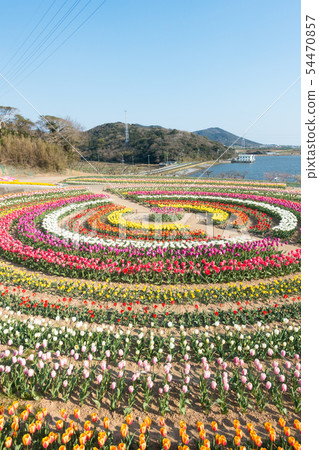[愛知縣] Sante Garden Flower Festival Sante Park Tahara 54470857
