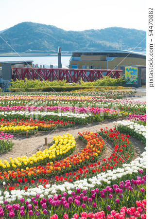 [Aichi] Sante Garden Flower Festival Sante Park Tahara 54470882