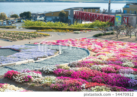 [Aichi] Sante Garden Flower Festival Sante Park Tahara 54470912