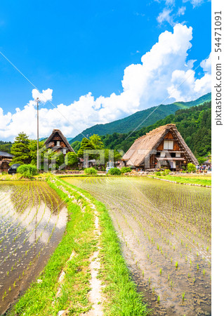 "Gifu prefecture" Shirakawago Gassho village, rice planting season 54471091
