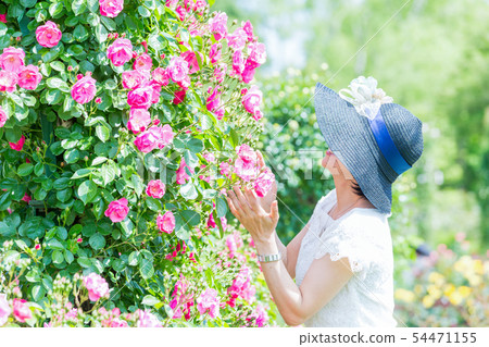  Middle woman enjoying the rose garden in full bloom Rose Arch Rose Garden 54471155