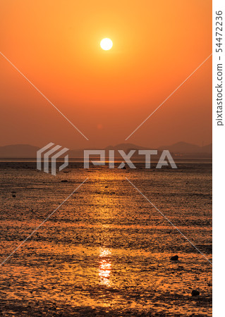 日落 日出 沿海 54472236