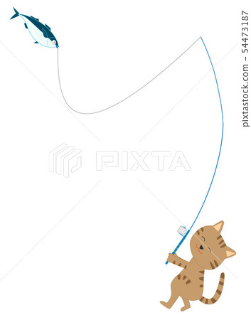 Sea play of pets 54473187