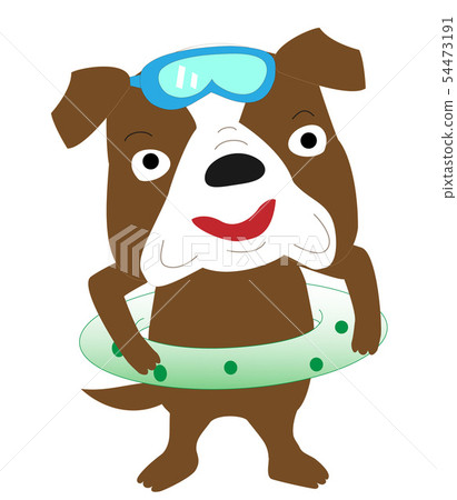 Sea play of pets 54473191