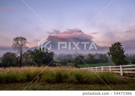 Doi Luang Chiang Dao Province Chiang Mai ,Thailand 54473366