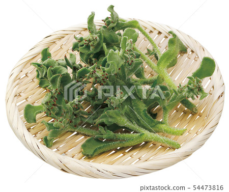 Ice plant _04 (with pass) 54473816