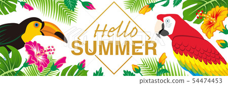 Tropical Birds And Plants Frame Text Hello Stock Illustration