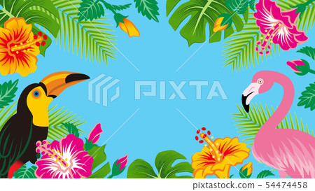 熱帶鳥和植物框架拷貝空間，藍色背景 54474458