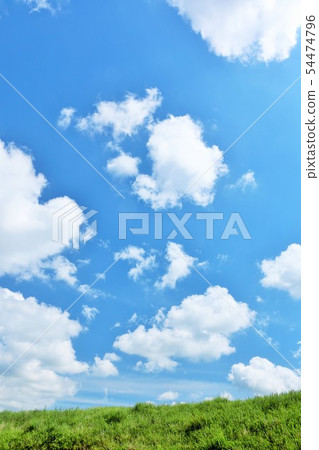 Fresh summer blue sky and steppe 54474796