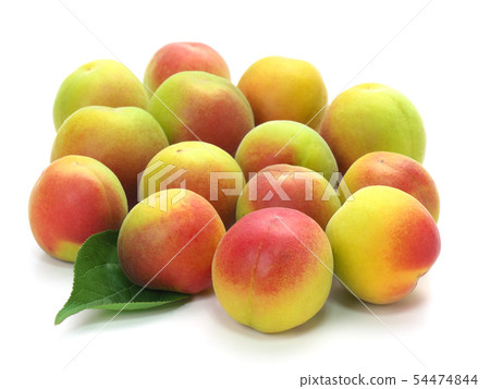 Minamitaka plum ripening 54474844