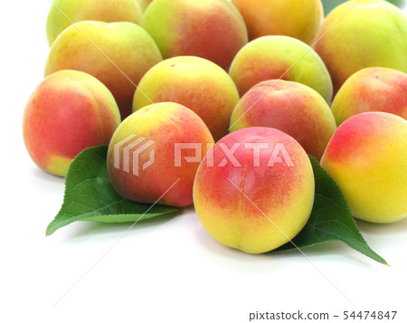 Minamitaka plum ripening Minamitaka plum ripening 54474847