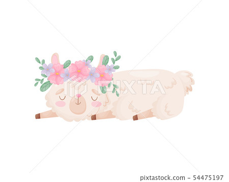 Cute cartoon llama sleeps. Vector illustration on white background. Cute cartoon llama sleeps. Vector illustration on white background. 54475197