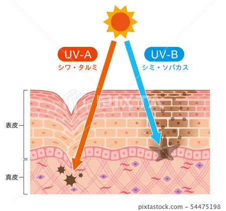 Skin figure UV damage 54475198