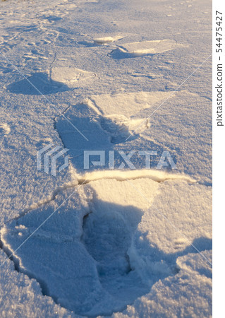 Photo snow, close-up Photo snow, close-up 54475427
