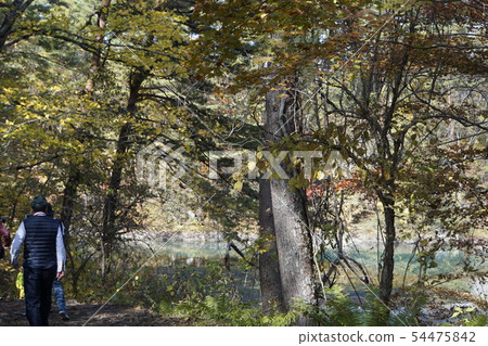 Bentennuma Goshikinuma Urabandai秋天自然 54475842