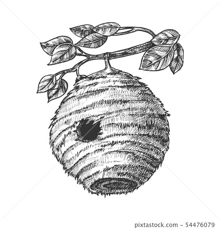 Bee Hive House Of Wild Insect On Branch Vector 54476079