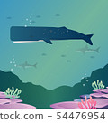 sperm whale 54476954
