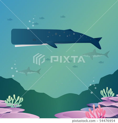 sperm whale sperm whale 54476954