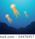 lion mane jellyfish 54476957