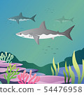 Great white shark 54476958