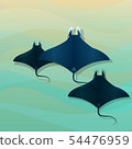 Manta Ray 54476959