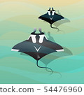 Manta Ray 54476960