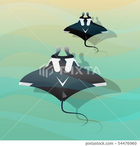 Manta Ray Manta Ray 54476960
