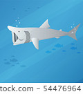 basking shark 54476964